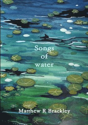 bokomslag Songs of Water