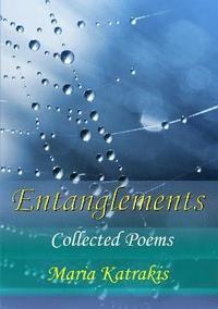 bokomslag Entanglements