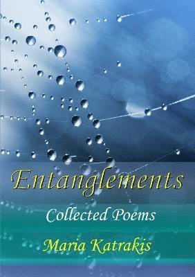 bokomslag Entanglements