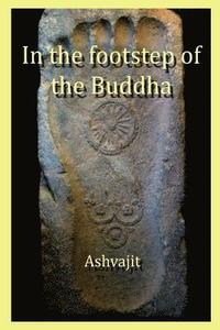 bokomslag In the Footstep of the Buddha