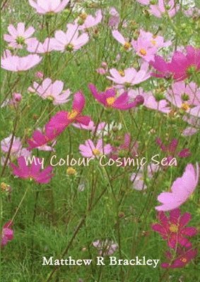 My Colour Cosmic Sea 1