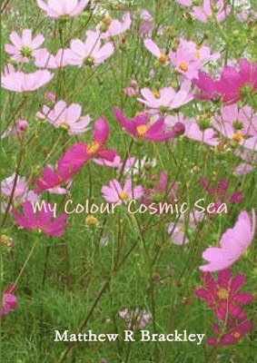 My Colour Cosmic Sea