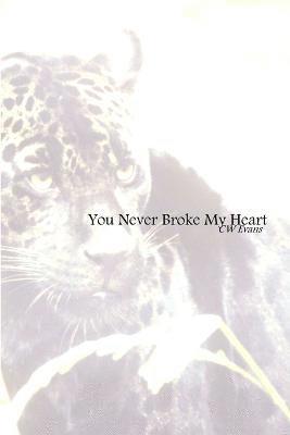 You Never Broke My Heart 1