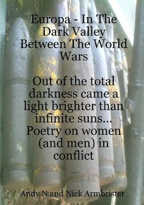 bokomslag Europa - in the Dark Valley Between the World Wars