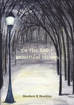 In the Light,Beautiful Things