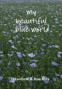 bokomslag My Beautiful Blue World