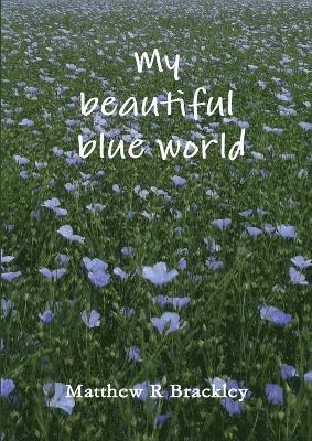 My Beautiful Blue World 1