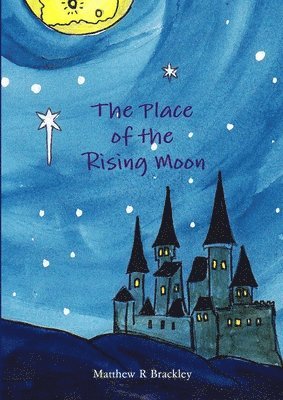bokomslag Place of the Rising Moon