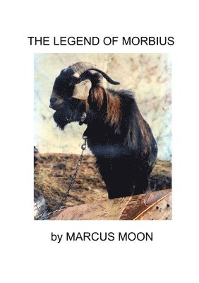 bokomslag Legend of Moribus