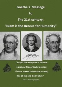 bokomslag Goethe's Message for the 21st century