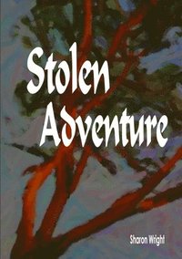 bokomslag Stolen Adventure