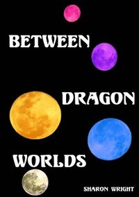 bokomslag Between Dragon Worlds