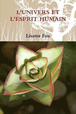bokomslag L'Univers Et L'Esprit Humain