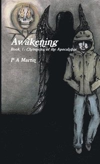 bokomslag Awakening