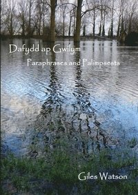 bokomslag Dafydd Ap Gwilym: Paraphrases and Palimpsests