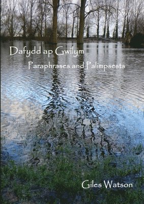 Giles Watson - Dafydd Ap Gwilym: Paraphrases and Palimpsests, Häftad