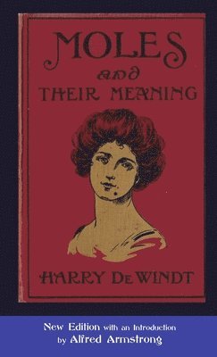 Harry De Windt - Moles and Their Meaning, Häftad
