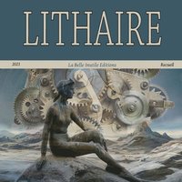 bokomslag Lithaire 3