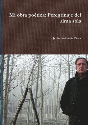 bokomslag Mi Obra Poetica: Perdegrinaje Del Alma Sola