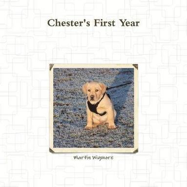 bokomslag Chester's First Year