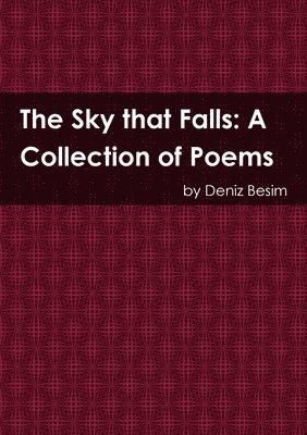 bokomslag The Sky That Falls: A Collection of Poems