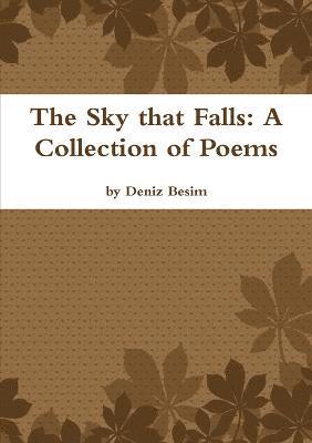 The Sky that Falls 1