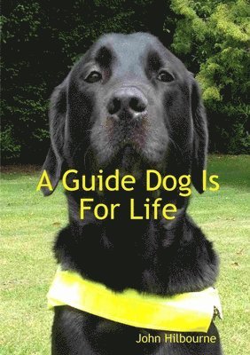 A Guide Dog is for Life 1