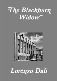 bokomslag Blackburn Widow