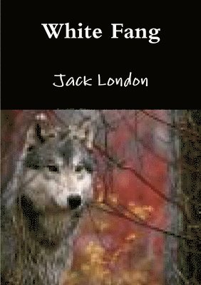 Jack London - White Fang, Häftad