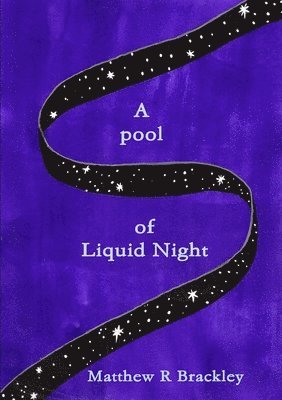 bokomslag A Pool of Liquid Night