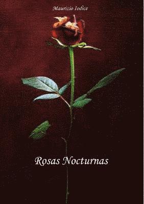 Rosas Nocturnas 1