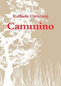 bokomslag Cammino