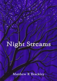 bokomslag Night Streams