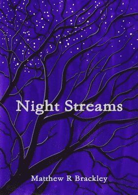 bokomslag Night Streams