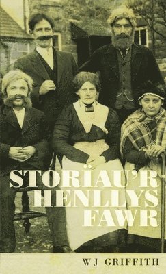 bokomslag Storiau'r Henllys Fawr