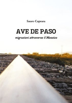 Ave De Paso Migrazioni Attraverso Il Messico 1