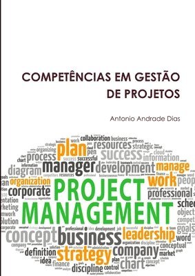 bokomslag Competencias Em Gestao De Projetos