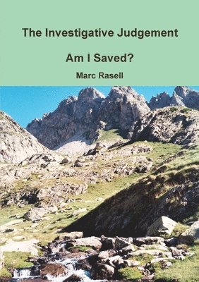 bokomslag Investigative Judgement: am I Saved?