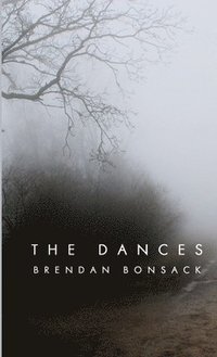 bokomslag The Dances