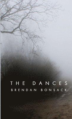 bokomslag Dances