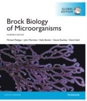 bokomslag Brock biology of microorganisms, global edition