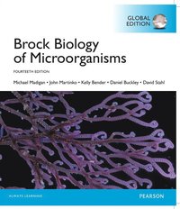 bokomslag Brock Biology of Microorganisms with Masteringbiology