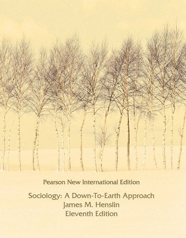 bokomslag Sociology: A Down-to-Earth Approach