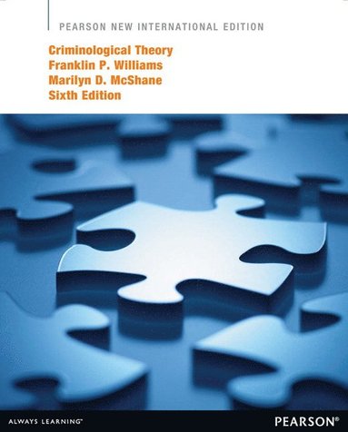 bokomslag Criminological Theory