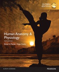 bokomslag Human Anatomy & Physiology, Global Edition