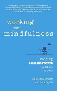 bokomslag Working with Mindfulness