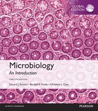 bokomslag Mastering Microbiology with Pearson eText for Microbiology: An Introduction, Global Edition