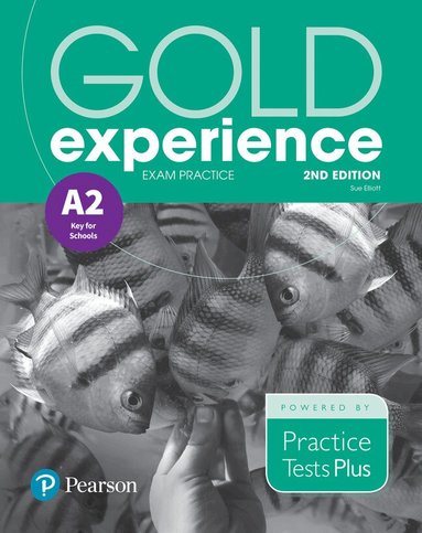 Sue Elliott - Gold Experience 2nd Edition Exam Practice: Cambridge English Key for Schools (A2), Häftad