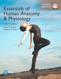 bokomslag Essentials of Human Anatomy & Physiology plus Pearson Modified Mastering Anatomy & Physiology with Pearson eText, Global Edition