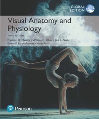 bokomslag Visual Anatomy & Physiology, Global Edition